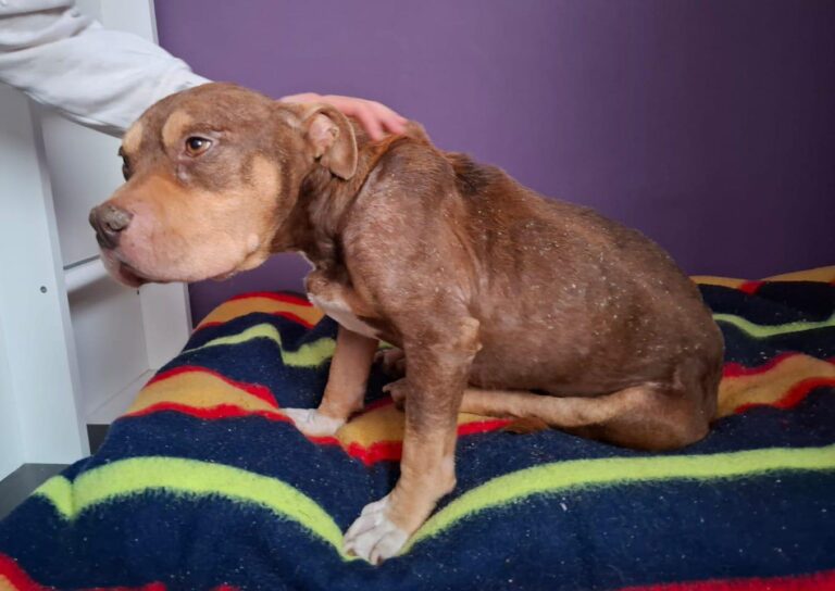 multimedia-foto93458-28-1