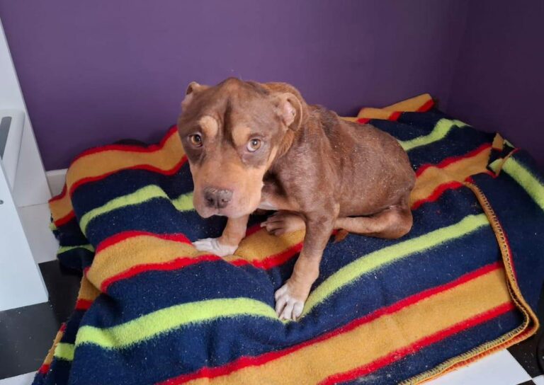 multimedia-foto93459-28-1