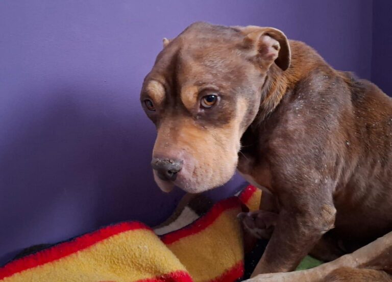 multimedia-foto93461-28-1