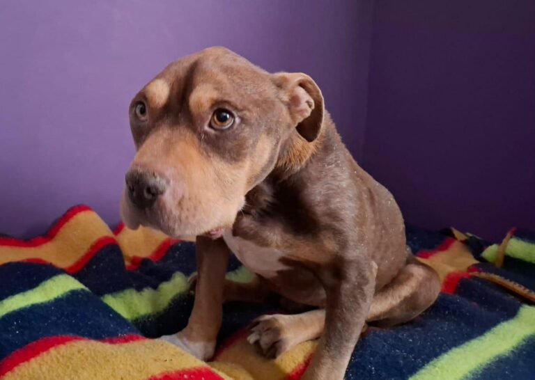 multimedia-foto93462-28-1