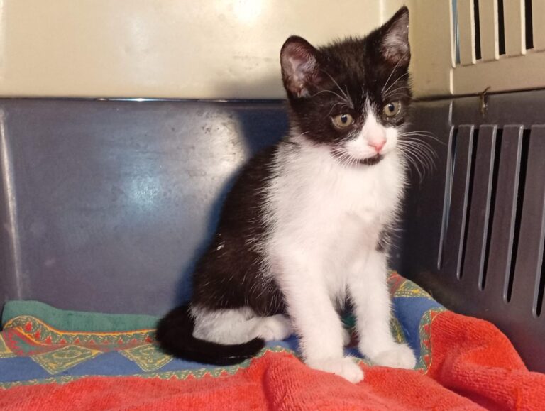 multimedia-foto93487-669-1