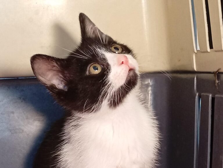 multimedia-foto93488-669-1