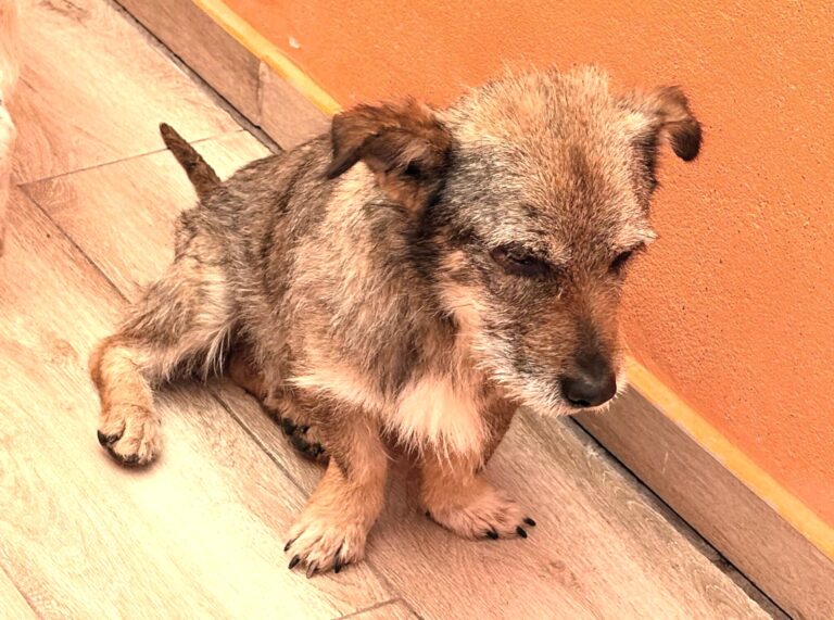 multimedia-foto93507-93-1