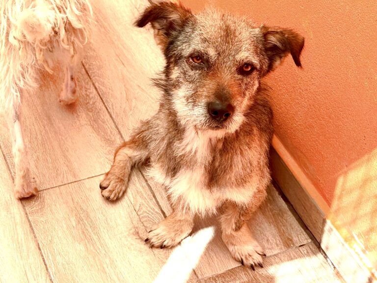 multimedia-foto93508-94-1