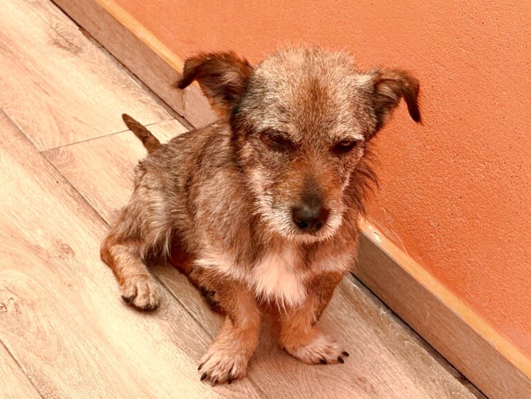 multimedia-foto93509-94-1