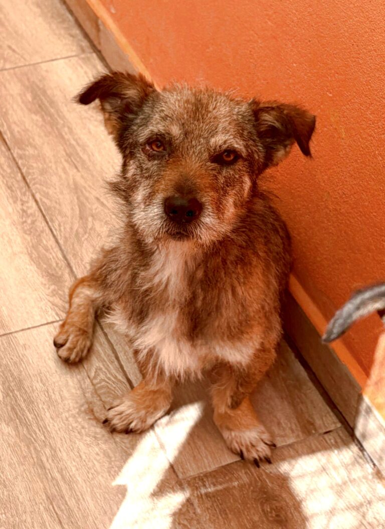 multimedia-foto93511-94-1