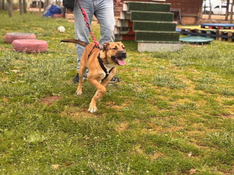 multimedia-foto93537-305-1