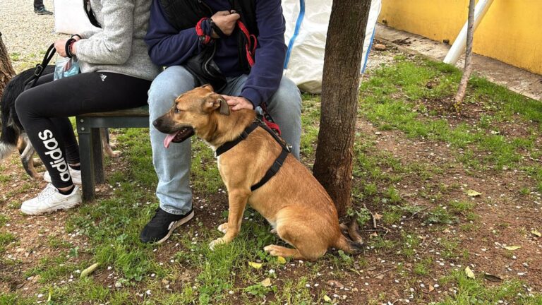 multimedia-foto93538-306-1