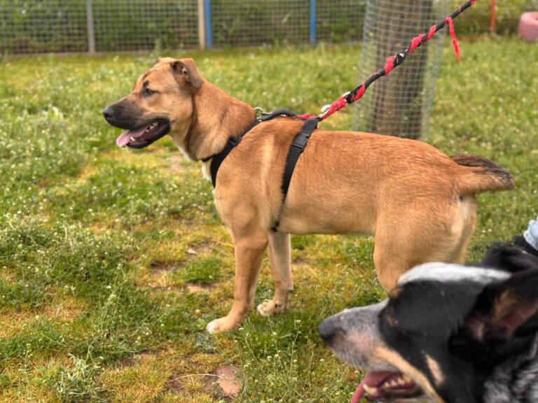 multimedia-foto93539-306-1