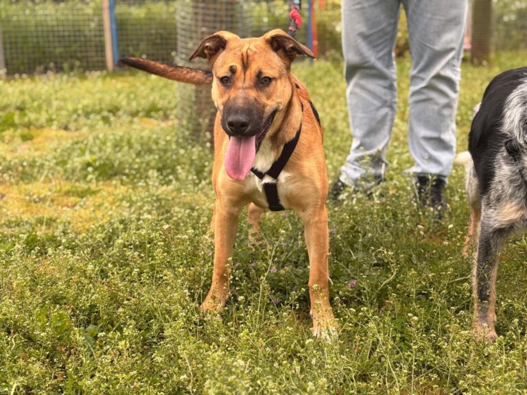 multimedia-foto93540-306-1