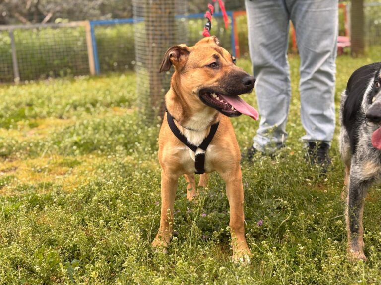 multimedia-foto93541-306-1