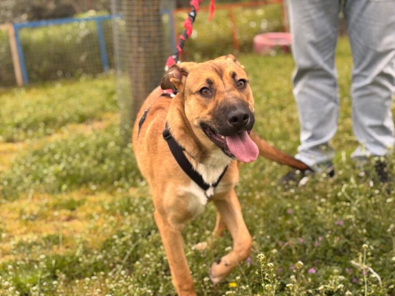 multimedia-foto93542-307-1