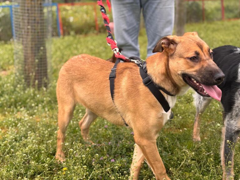 multimedia-foto93543-307-1