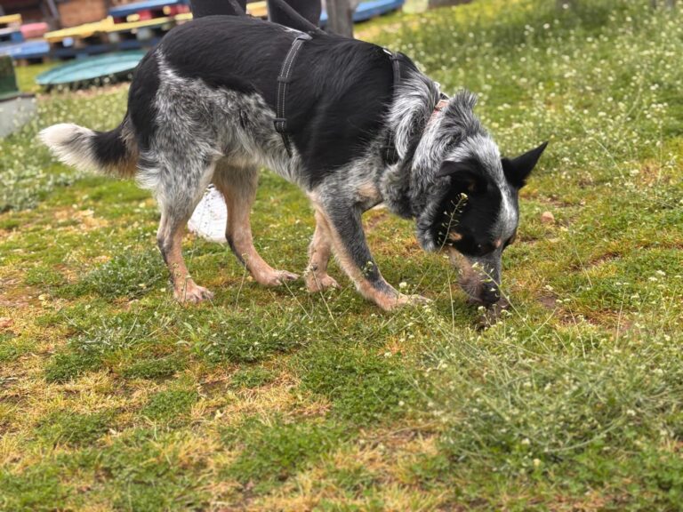 multimedia-foto93551-594-1