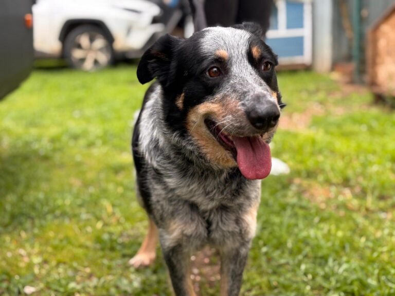 multimedia-foto93552-595-1