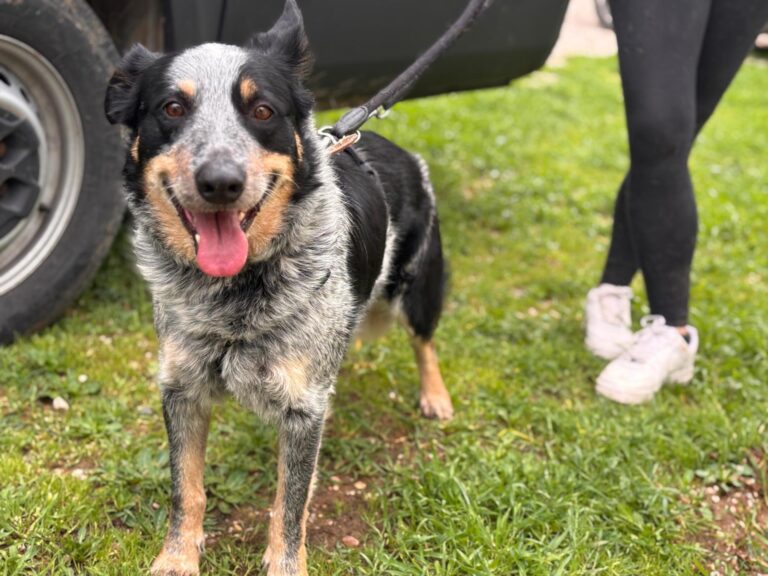 multimedia-foto93553-595-1