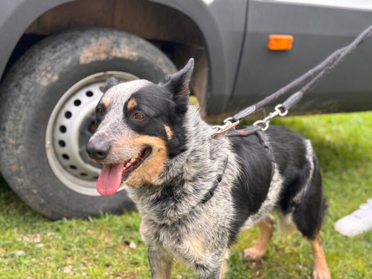 multimedia-foto93554-595-1