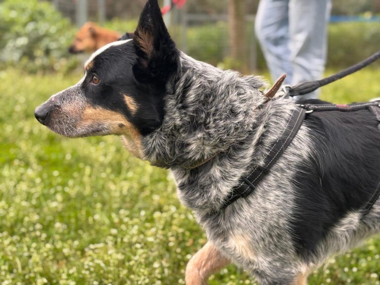 multimedia-foto93555-595-1