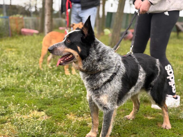 multimedia-foto93557-596-1