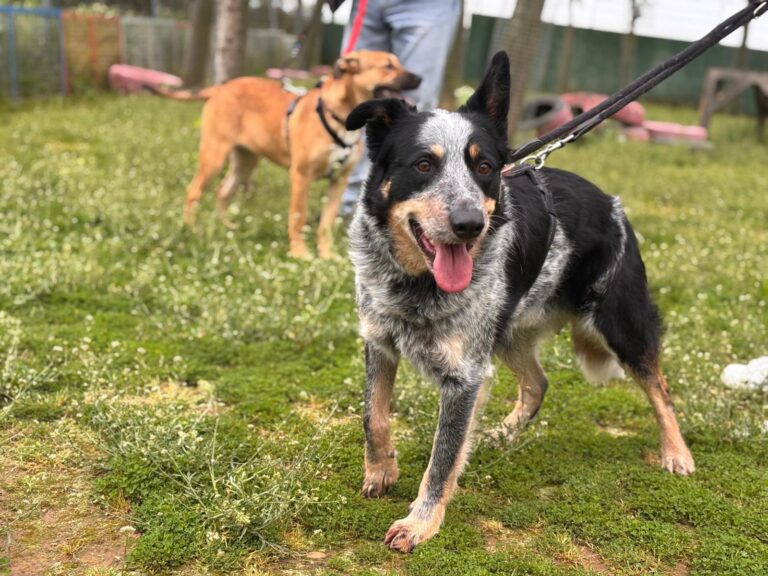 multimedia-foto93558-596-1