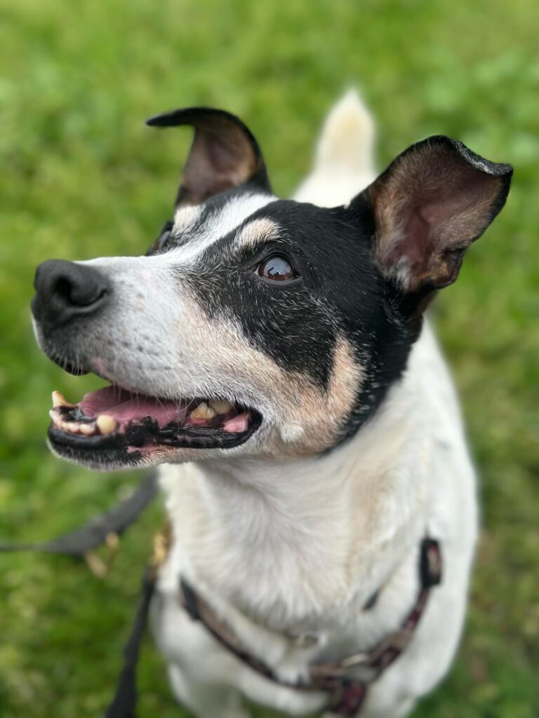 multimedia-foto93559-650-1