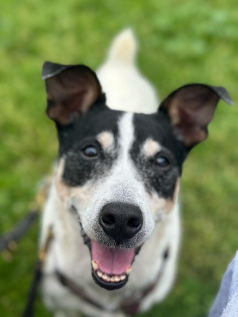 multimedia-foto93560-650-1