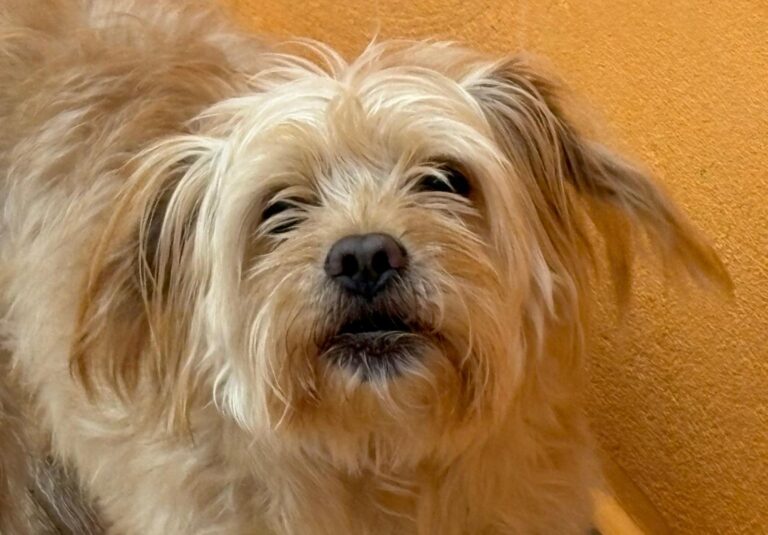 multimedia-foto93570-96-1