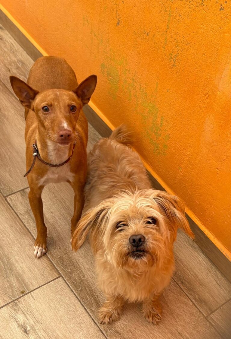 multimedia-foto93572-97-1