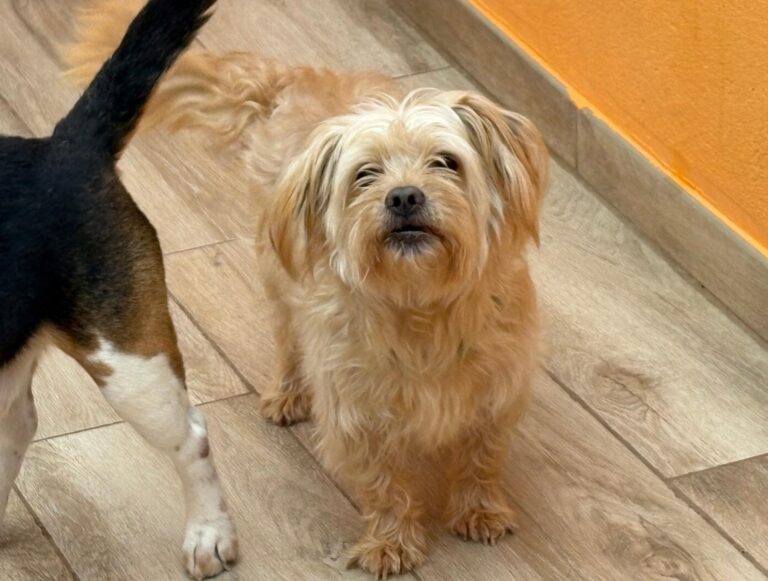 multimedia-foto93573-97-1