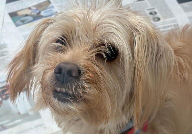 multimedia-foto93574-97-1