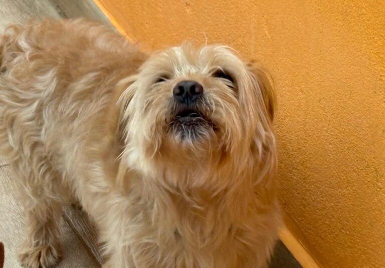 multimedia-foto93576-98-1