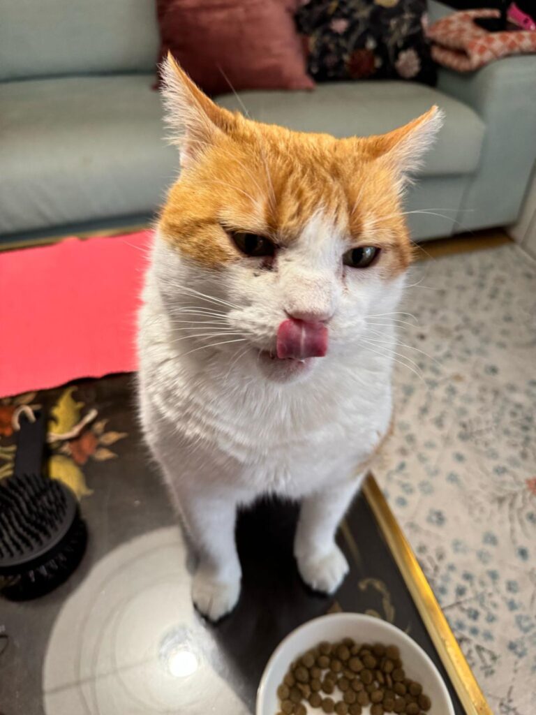 multimedia-foto93580-768-1