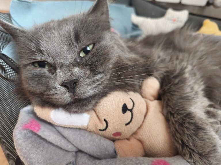 multimedia-foto93588-454-1