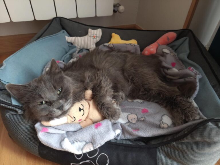 multimedia-foto93589-454-1