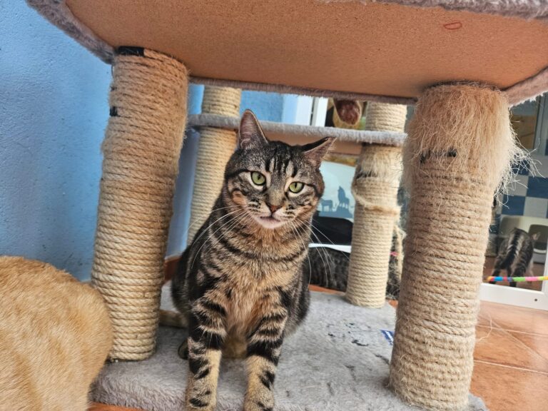 multimedia-foto93592-687-1