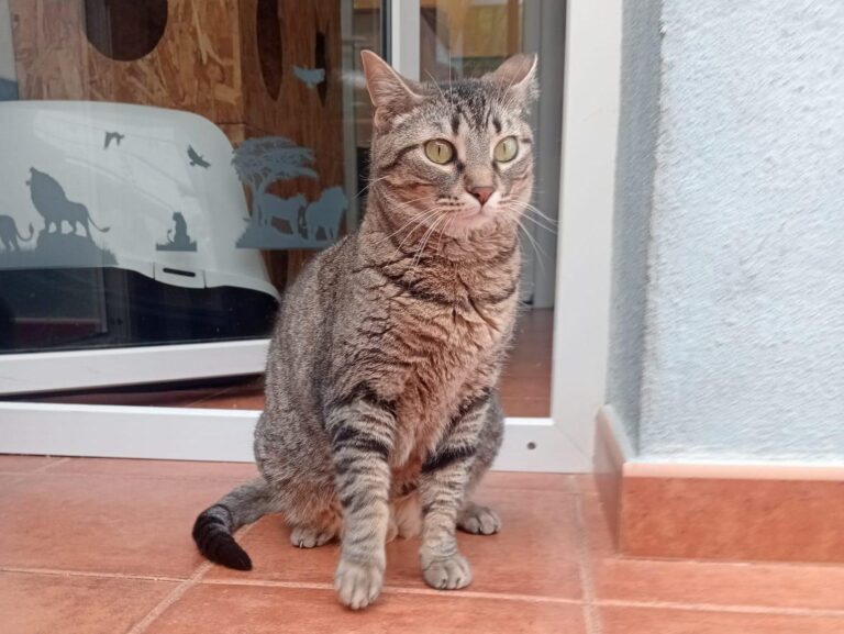 multimedia-foto93611-13-1