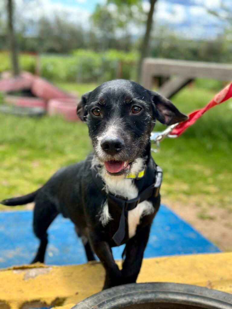 multimedia-foto93622-621-1