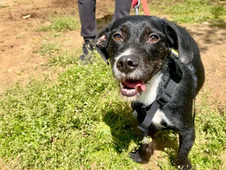 multimedia-foto93623-621-1