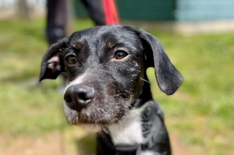 multimedia-foto93624-621-1