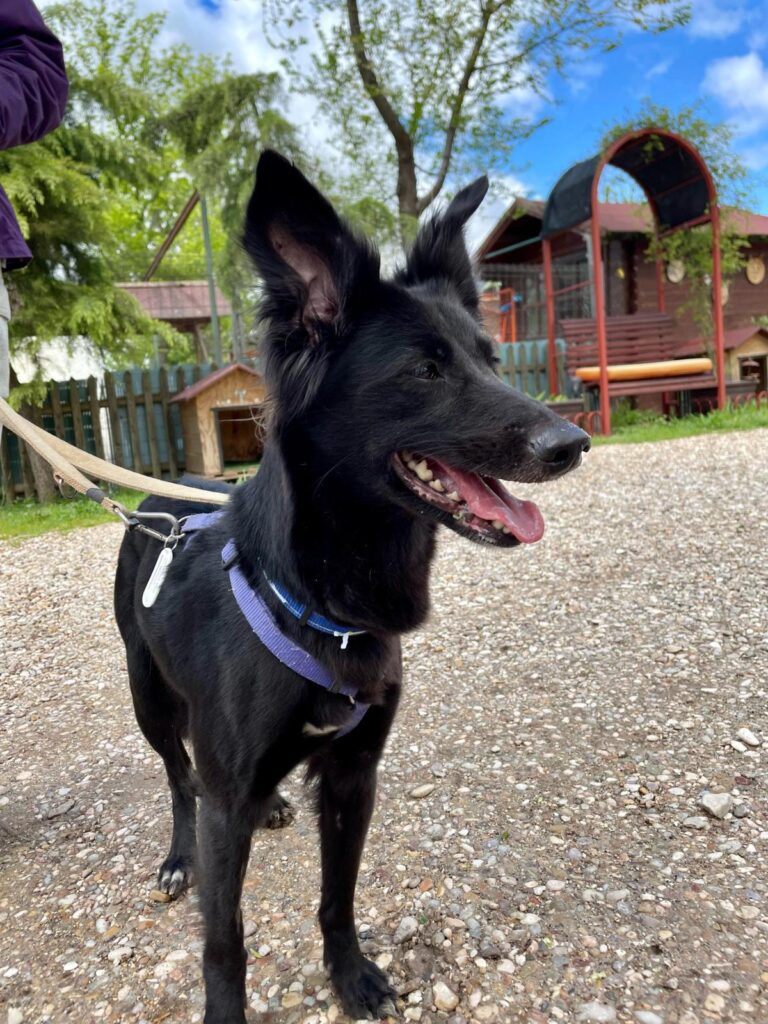 multimedia-foto93625-679-1