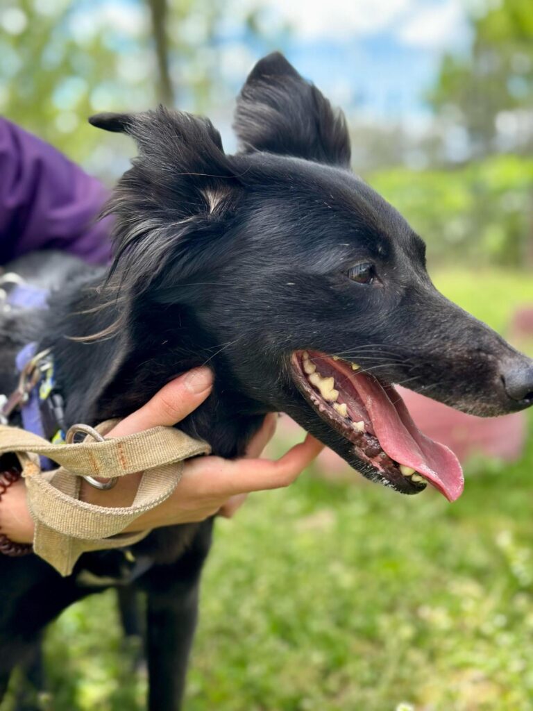 multimedia-foto93626-679-1