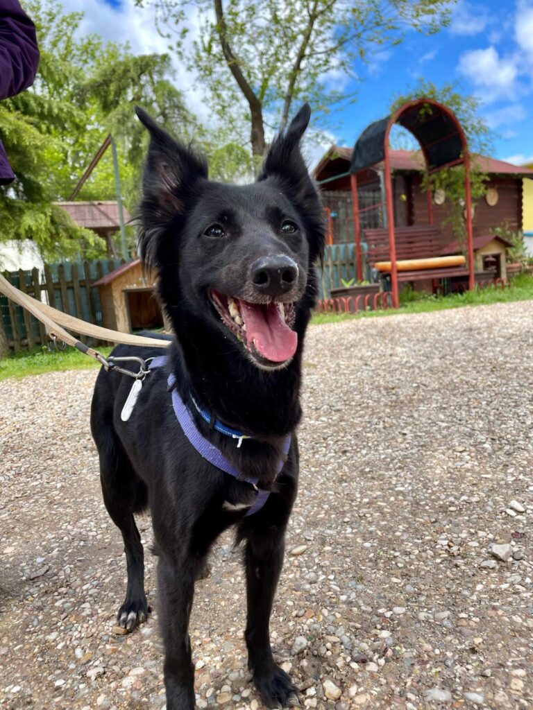 multimedia-foto93627-680-1