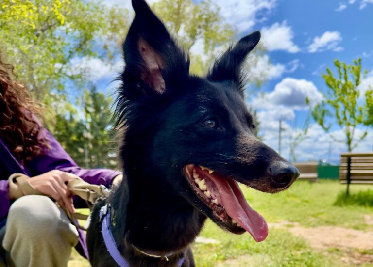 multimedia-foto93628-680-1