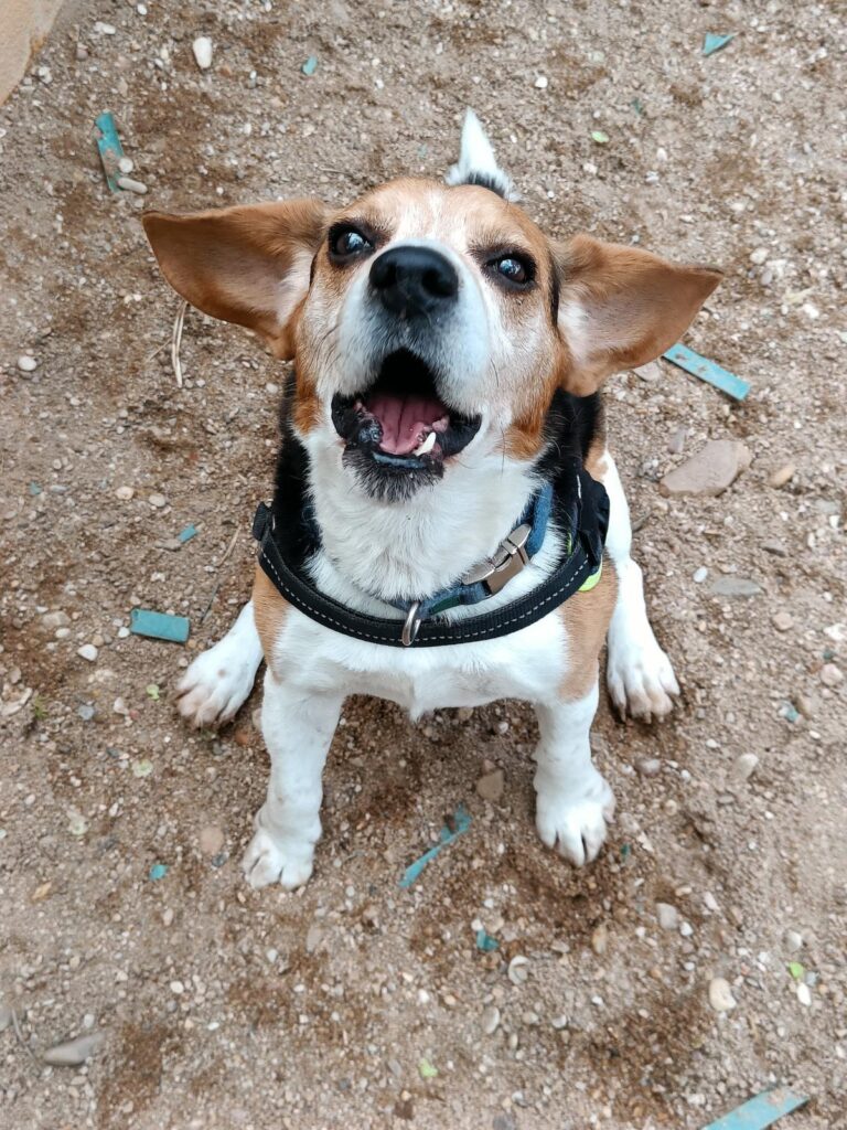 multimedia-foto93629-863-1