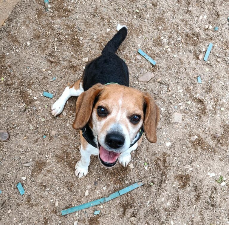 multimedia-foto93630-863-1