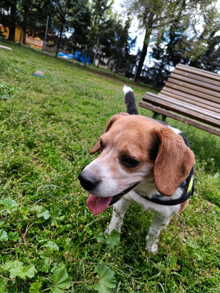 multimedia-foto93631-863-1