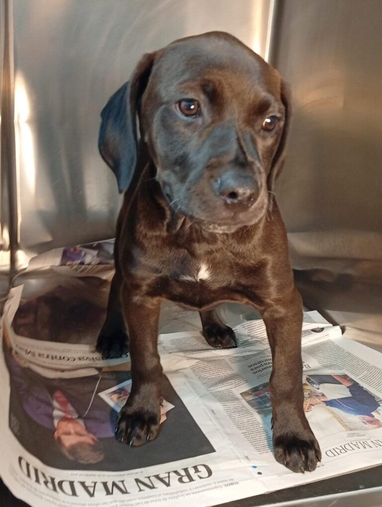 multimedia-foto93640-612-1