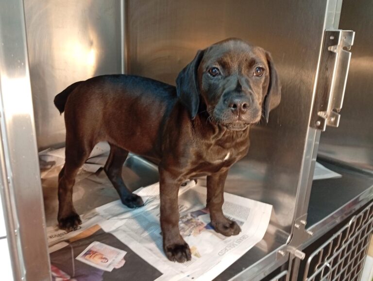 multimedia-foto93641-612-1