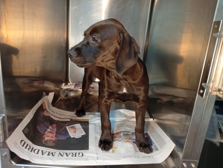 multimedia-foto93642-612-1