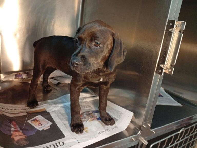 multimedia-foto93644-613-1